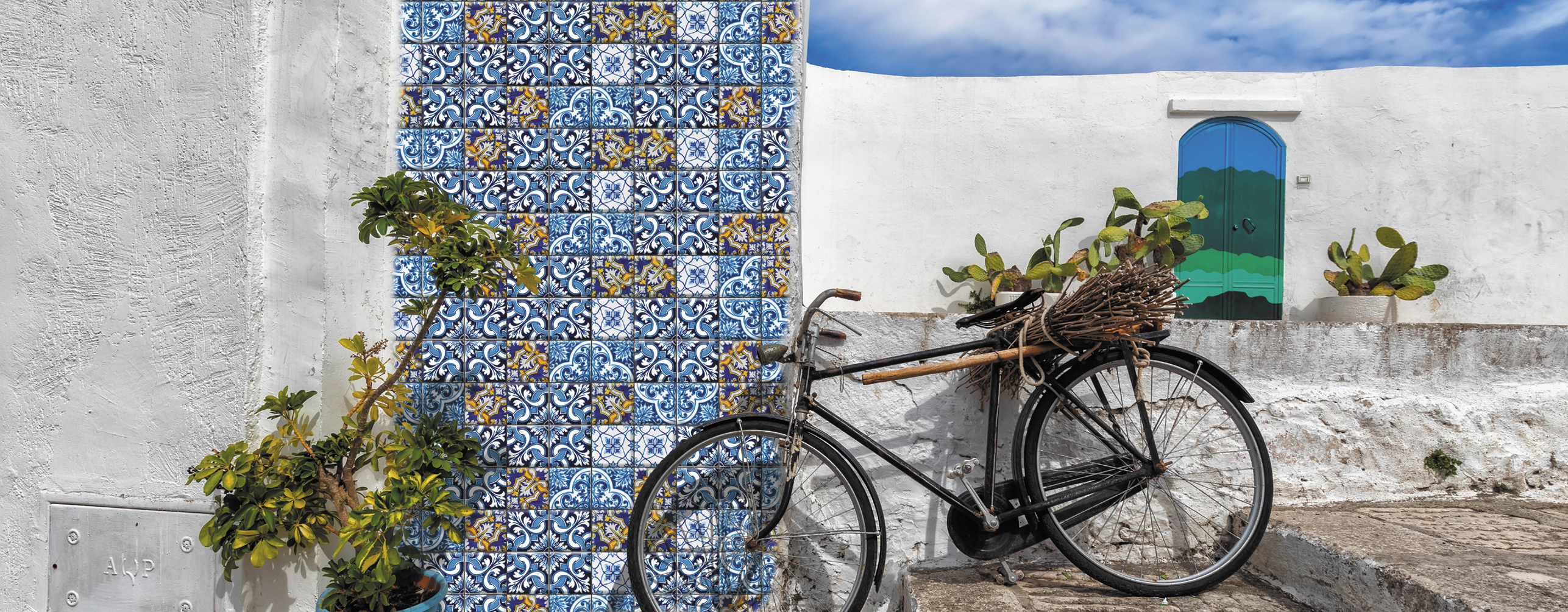 Main image of the collection